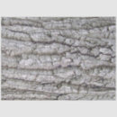 Search for tree bark tissue paper Grey
