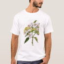 Search for orange tree clothing Flowers