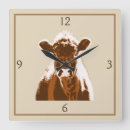 Search for cow clocks Brown