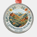 Search for icelandic christmas tree decorations Souvenir