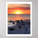 Search for shore birds posters Nature