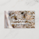 Search for hornet business cards Pest control