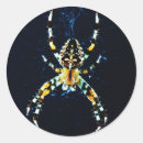 Search for weaver stickers Insect