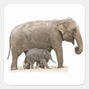 Search for elephant family stickers Wild