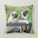 Search for boston terrier cushions Dogs