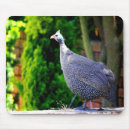 Search for fowl mouse mats Birds