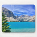 Search for alberta electronics Nature