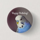Search for budgerigar badges Parrot