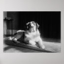 Search for bernards posters Vintage
