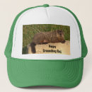 Search for groundhogs hats Nature