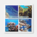 Search for reef magnets Great barrier reef