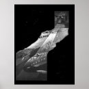 Search for finding nemo Cartoon