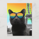 Search for sunglasses postcards Feline