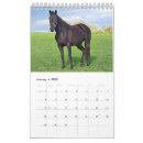 Search for mare Nature