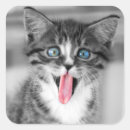 Search for funny eyes stickers Kitten