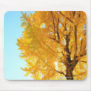 Search for prefectures mouse mats Photography