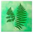 Search for fern tiles Forest