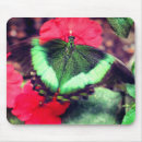 Search for butterfly mouse mats Wildlife