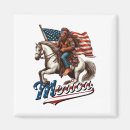 Search for mullet magnets Usa flag