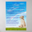 Search for rainbow bridge posters Cats