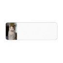 Search for calico cat return address labels Kitten