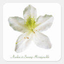 Search for azaleas stickers Floral