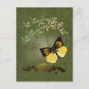 Search for flutter postcards Garden