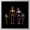 Search for x ray skeleton art Create your own