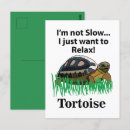 Search for tortoises postcards Nature