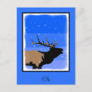 Search for elk in snow postcards Winter