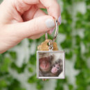 Search for monkey at baby key rings Animals in the wild