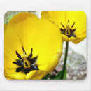 Search for spring tulips mouse mats Easter