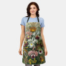 Search for orchids aprons Nature