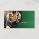Search for tiger business cards Wildlife