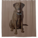 Search for labrador retriever shower curtains Animals