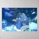 Search for undersea posters Fish