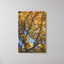 Search for october canvas prints Trees