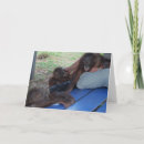 Search for orphans cards Wildlife