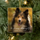 Search for elegant pet memorial ornaments Simple