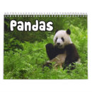 Search for panda calendars Bear