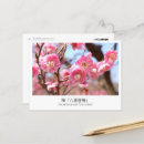 Search for plums postcards Flower