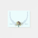 Search for woodland creatures Squirrels