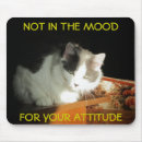 Search for maine coon cat mouse mats Kitty