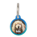 Search for ocean pet supplies Beach