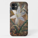 Search for badlands iphone cases Anza borrego
