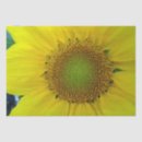 Search for seed tissue paper Flower