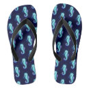 Search for horse shoes Sea