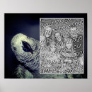 Search for grey parrot posters Bird