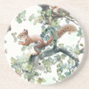 Search for squirrel coasters Rodent