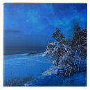 Search for forest scene tiles Winter